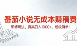 ��17241�ڣ�����С˵�޳ɱ�׬���а���淨����ʵ����1000+�������򵥣�