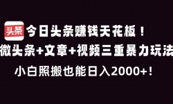 ��16888�ڣ�����ͷ��׬Ǯ�컨�壡΢ͷ��+����+��Ƶ���ر����淨��С���հ�Ҳ������2000+