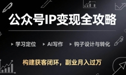 ��17523�ڣ����ں�IP����ȫ����-���£�ѧϰ��λ��AIд�������������ת����������ͱջ�����ҵ�������