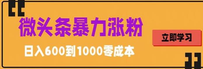 （5950期）微头条暴力涨粉技巧搬运文案就能涨几万粉丝，简单0成本，日赚600