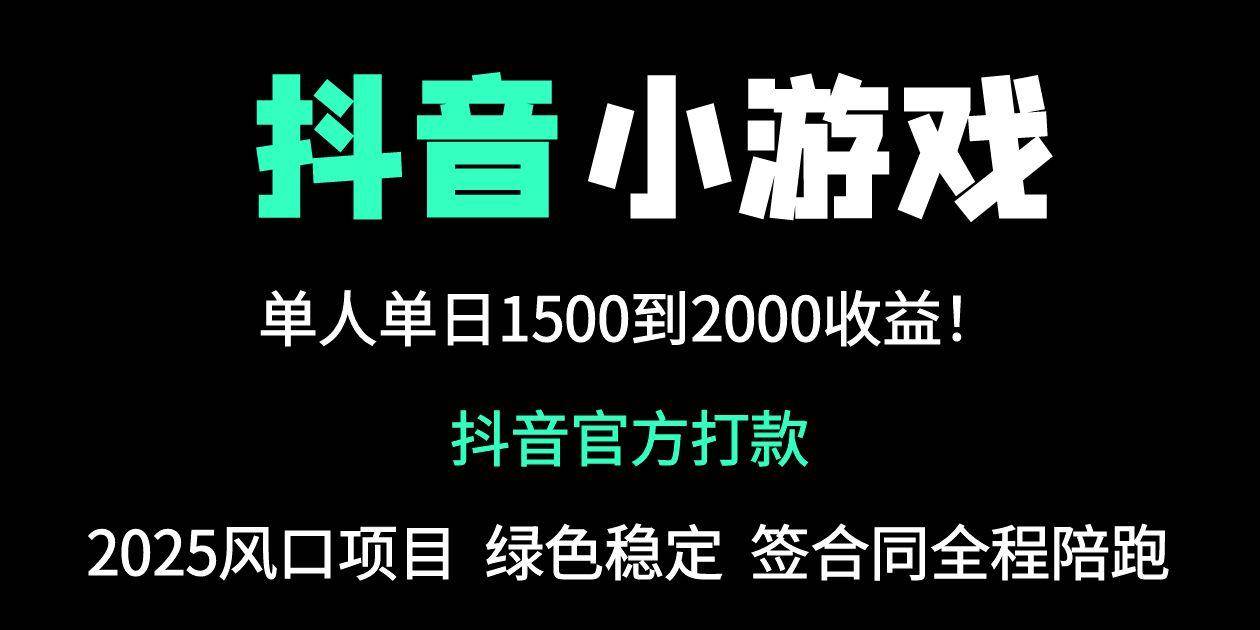 抖音官方小游戏2025全网最新玩法，暴利赚钱项目，单机日入2000+-易创资源网